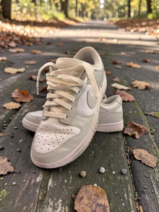 Nike Shoes - Nike Dunk Low Light Bone